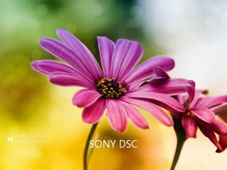 ENSTRÜMANTAL MÜZİK & SEN GELMEZ OLDUN