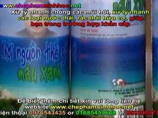 Xử lý mùi hôi nước thải - xử lý rác thải hữu cơ một cách nhanh chóng, an toàn với chế phẩm sinh học Weviro 1