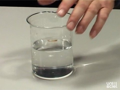 Une pièce de monnaie disparaît sous un verre