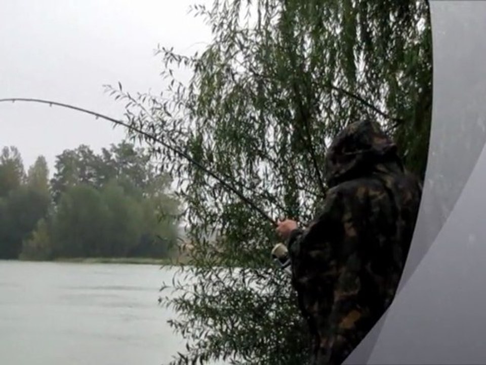 2010