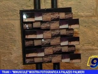 Trani | "Minuscule" mostra fotografica a Palazzo Palmieri