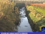 Schiuma nel canale Ciappetta-Camaggio