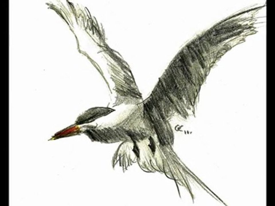 Mes dessins, fusains, pastels and Co