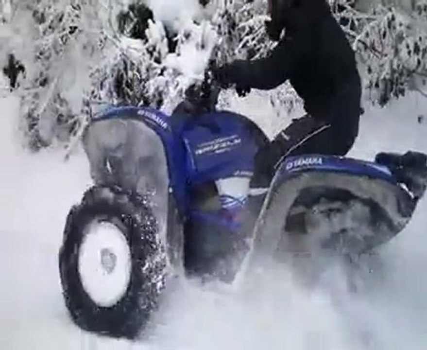 Quad