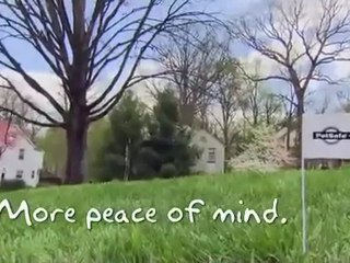 Invisible Fence for Cats And Small Dogs