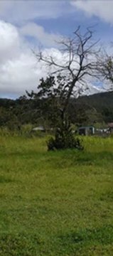 Venta de Lotes de Terreno En La Esperanza,