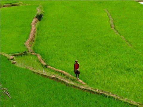 Madagascar, l'île rouge