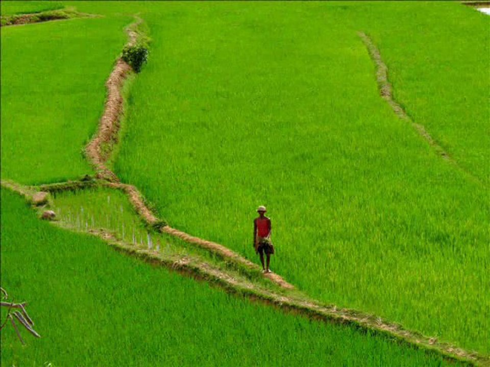 Madagascar, l'île rouge
