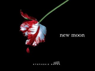 New Moon Audio Book Chapter 1 Part 1 Stephenie Meyer