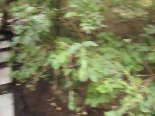 Perfection Paysage - Paysagiste à Longueuil