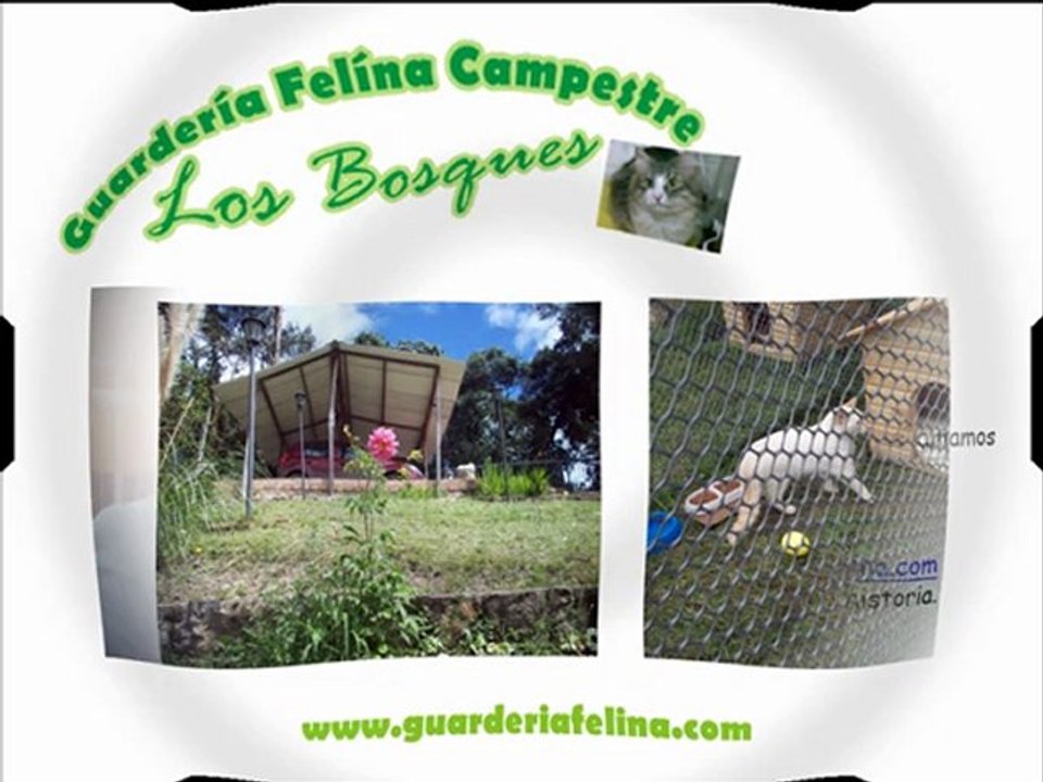 (Guarderia) (Felina) Campestre Los Bosques(Bogota)
