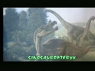 VTS_01_1  DIVERS ANIMAUX DE LA PREHISTOIRE   1ère