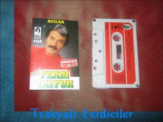 Ferdi Tayfur & Bir Su Gibi Aktı Güzel ...