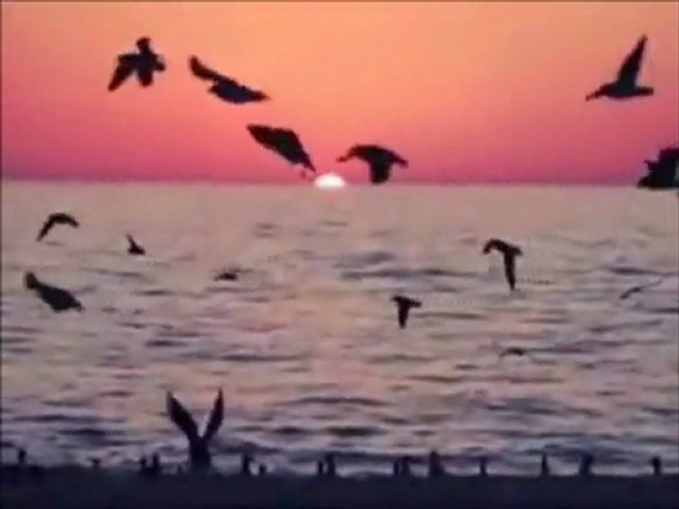 Orhan Ölmez - Açma