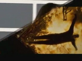 Barrymore engaged, Sheen donates money