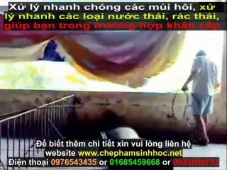 Xử lý mùi hôi gây ô nhiễm môi trường tại các trại chăn nuôi nhanh chóng