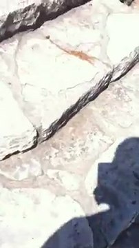 sunny day Technion and ahadows