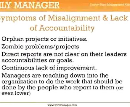 Business Alignment Strategies - A Step by Step Guide for Busy Managers