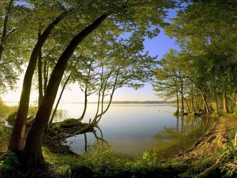 CHEBA ZAHOUANIA - ANA MANOUIT FRAQOU