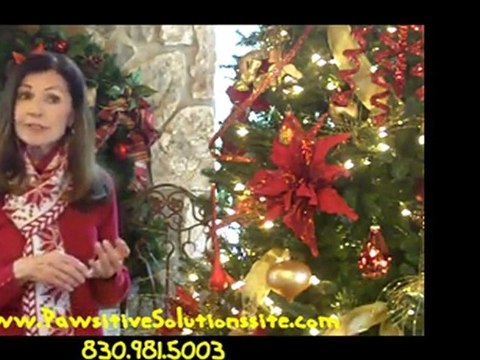 Christmas Safety Tips For Your Dog ~ By San Antonio Dog Trainer