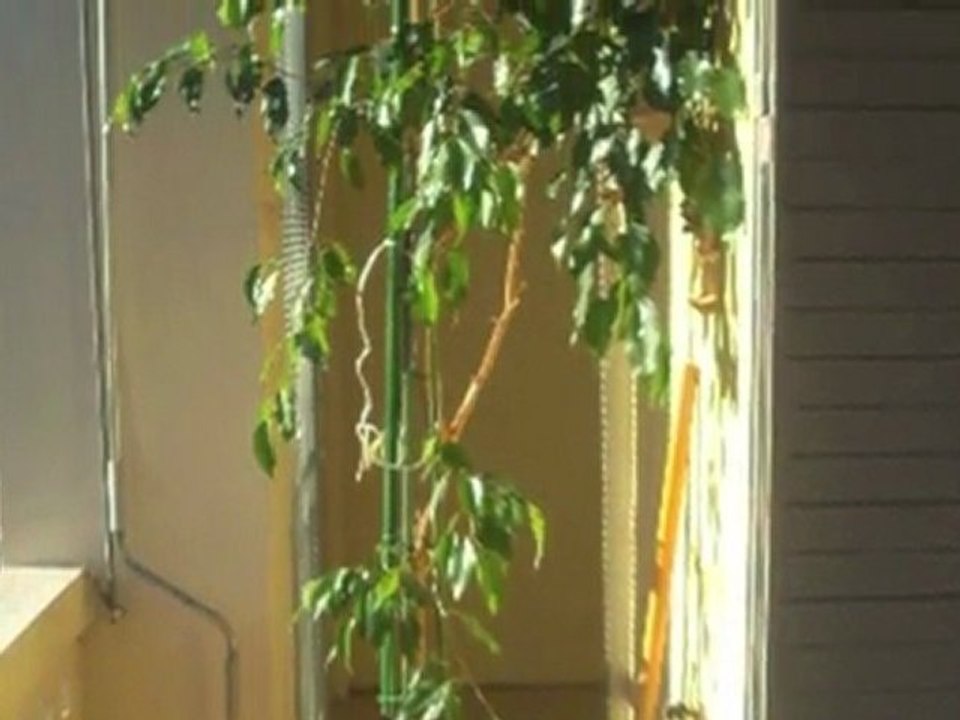 Appartement - Achat Vente Avignon  - N° BB 2733- ABD IMMO