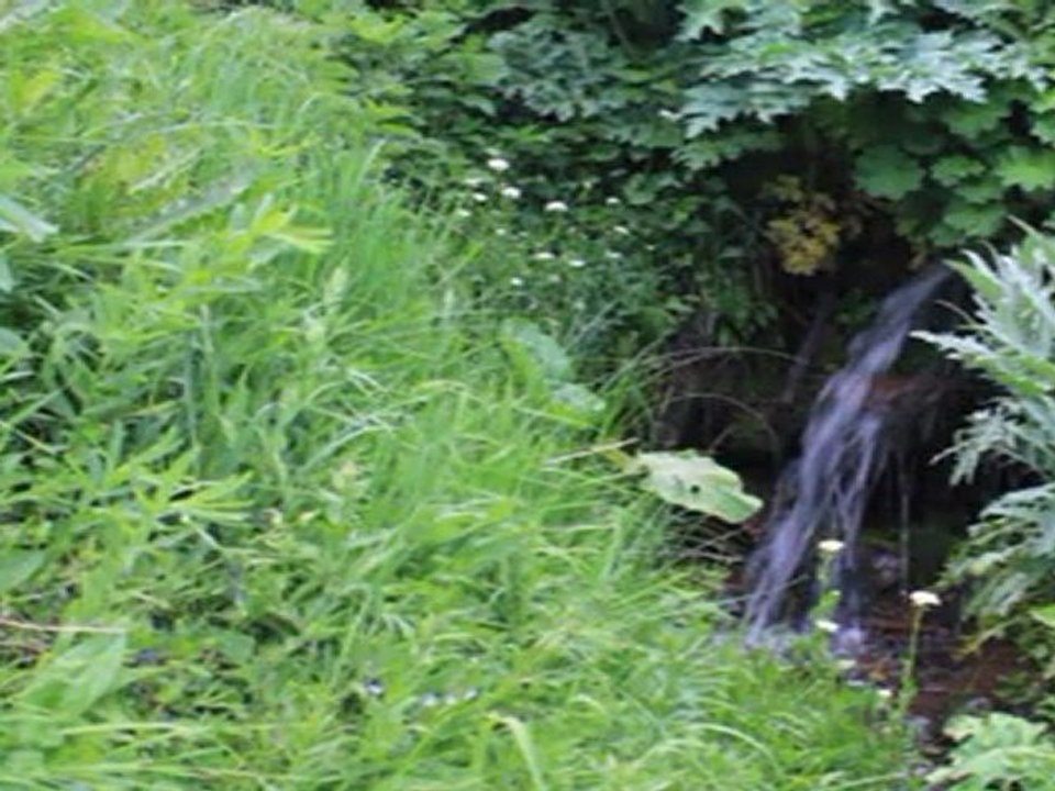 KARAGÖL PÜLÜMÜR 2011