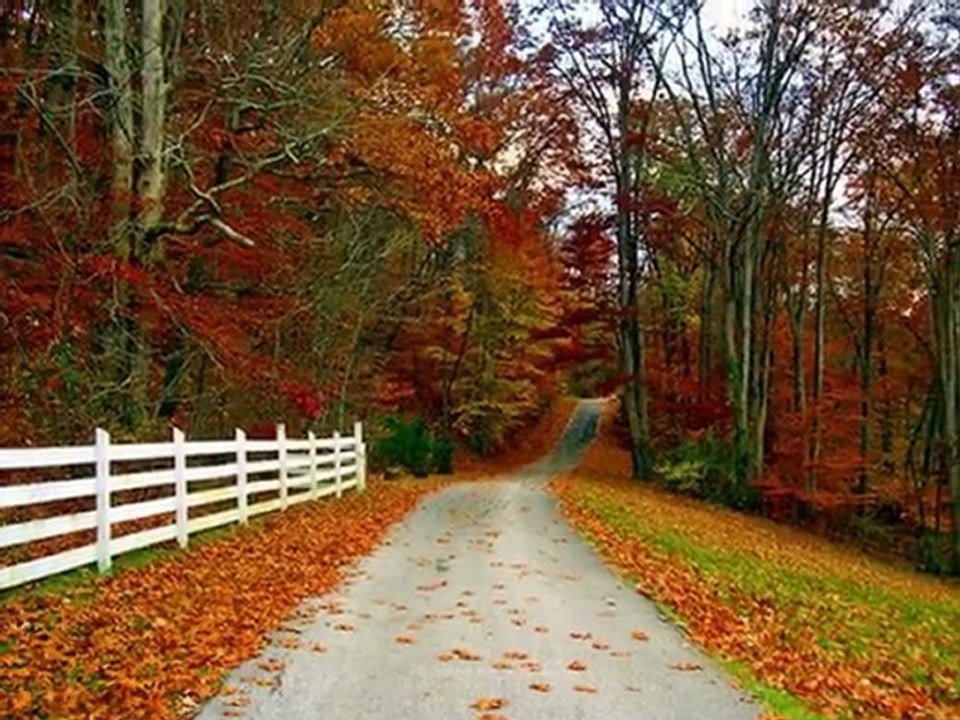 CANIMSIN.. DAMARIMDA KANIMSIN.. YARINIMSIN.