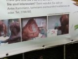 Tida the orangutang paintings YouTube largest Vlog ephemeral8 aka Avi Rosen ZOO Koln