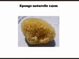 Les 10 Meilleurs Eponges à Acheter