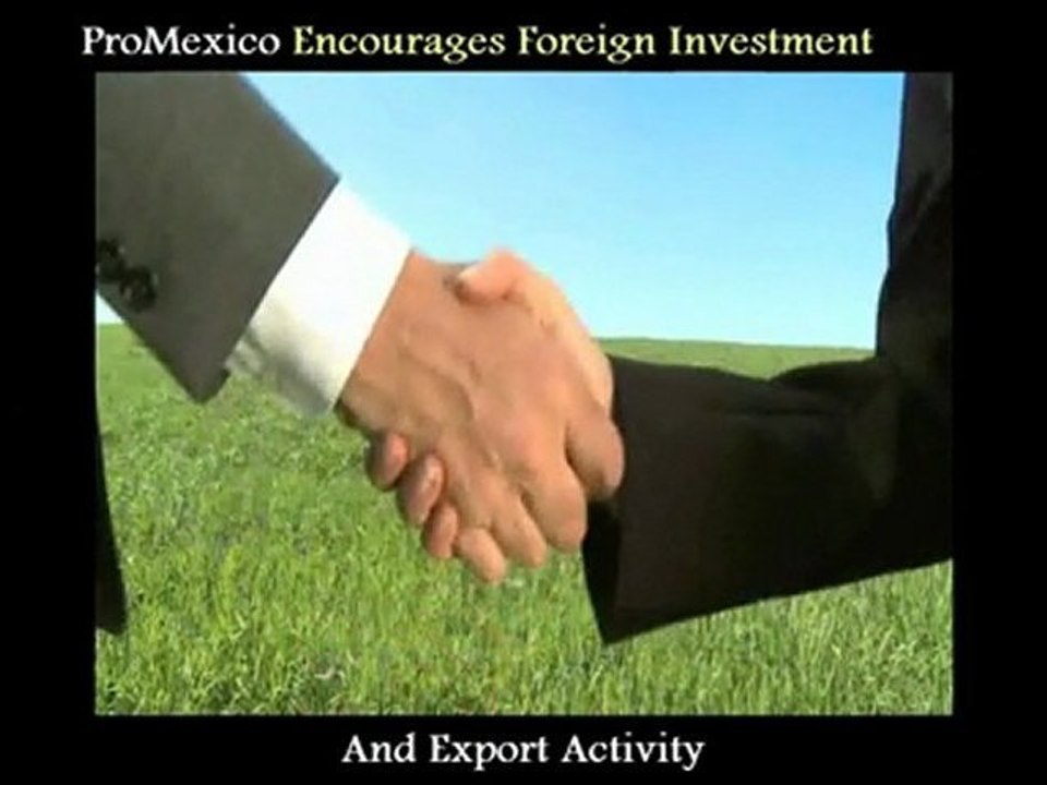 Tap Into The Wealth Of Opportunities In Mexico!