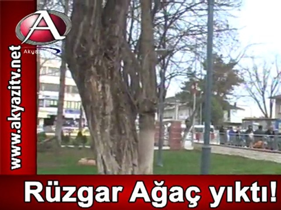 Rüzgar Agaç Yıktı