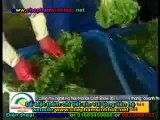 VTV9 Vườn Sinh Thái Trung Việt - Chế phẩm sinh học - phân vi sinh thế hệ mới ứng dụng trồng rau sạch