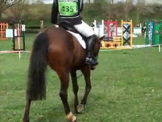 Pythagore de Jax Dressage Club 2