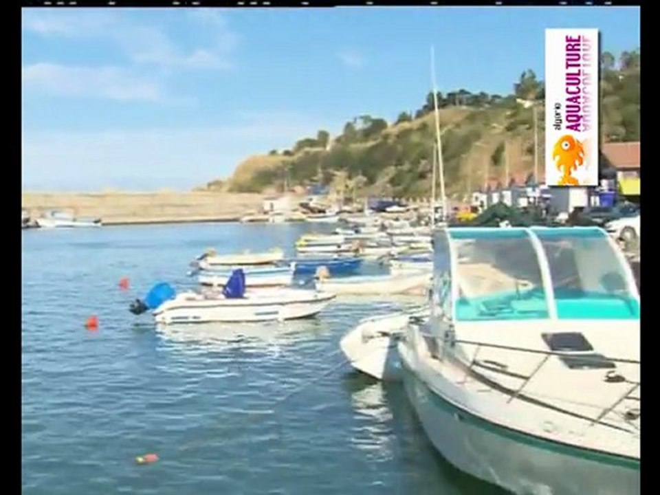Tizi-Ouzou ✿│ M. Abdallah Khanafou Priorité au développement de l'aquaculture