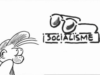 Le Socialisme vu par N. Chomsky
