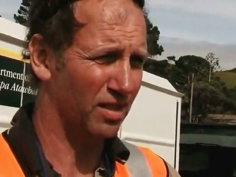 New Zealand beached whales saved