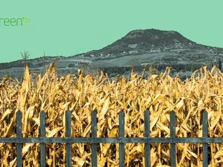 Low-income countries in 2030 - Coping Alone