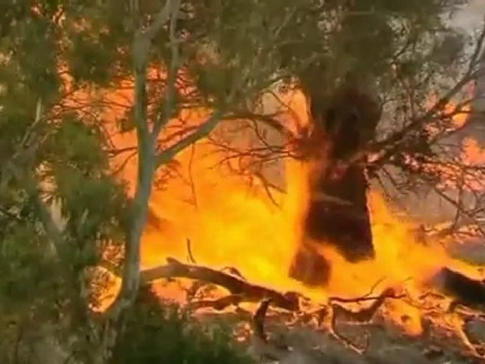 Rain slows Australia bushfires
