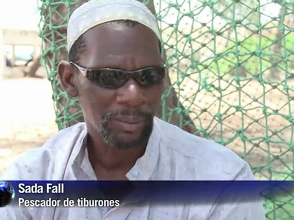 Predador em risco