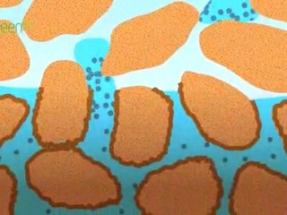 CCS - Safe Storage - Closing the carbon loop