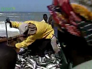 Drop into the Ocean - Part 1