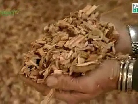 Renewable energy - Wind and Biomass