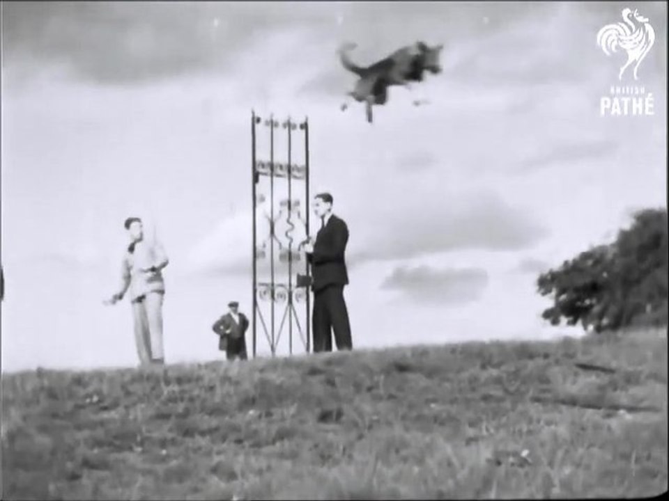 berger alsacien champion de saut en 1930