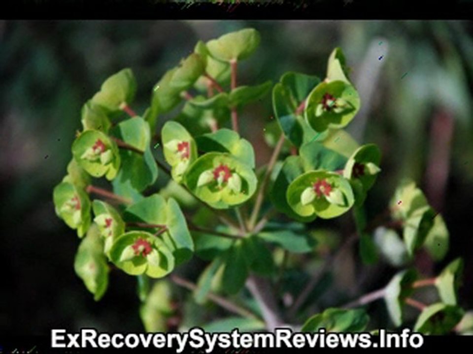 Getting The Love Back