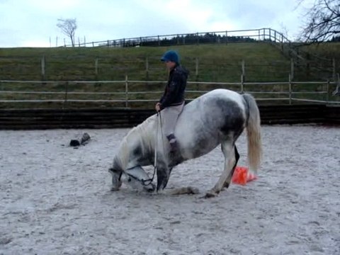 Safran: nouveaux exos... ;-)