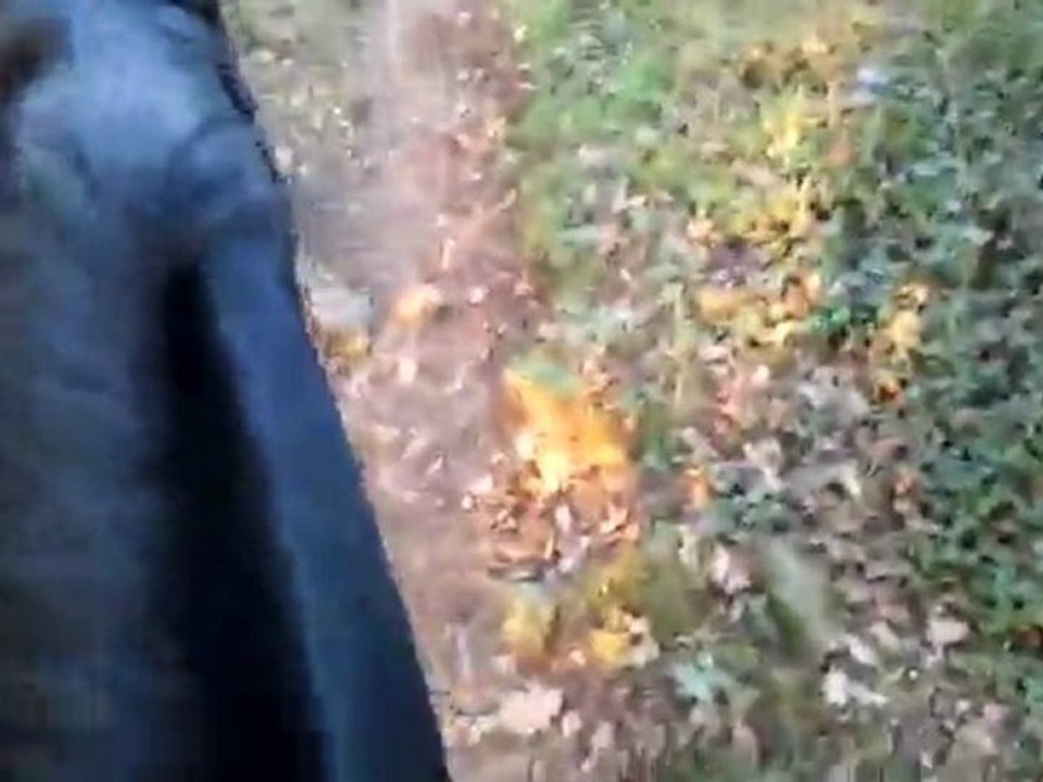 Balade avec marjo!! mdr