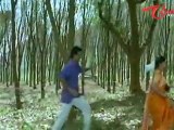 Suryavamsam - Telugu Songs - Rojave Chinni Rojave - Venkatesh - Meena