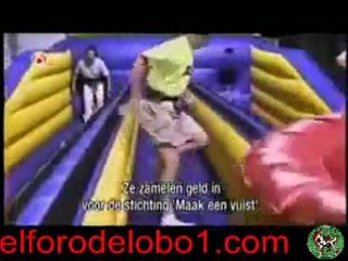 Accidentes caseros, niños y animales agresivos