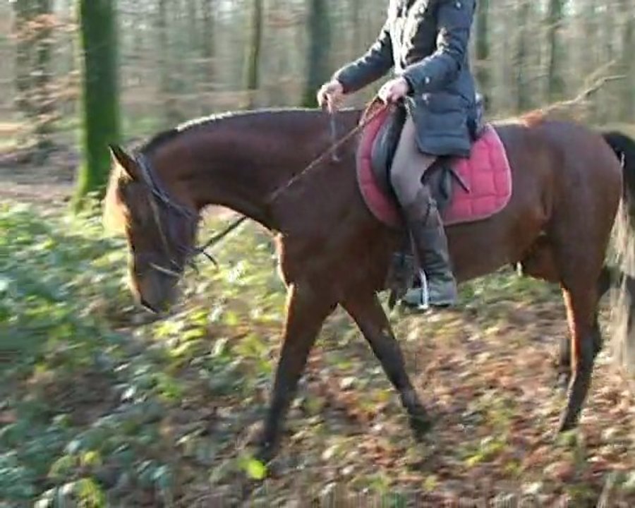 UPPER CAPTAIN