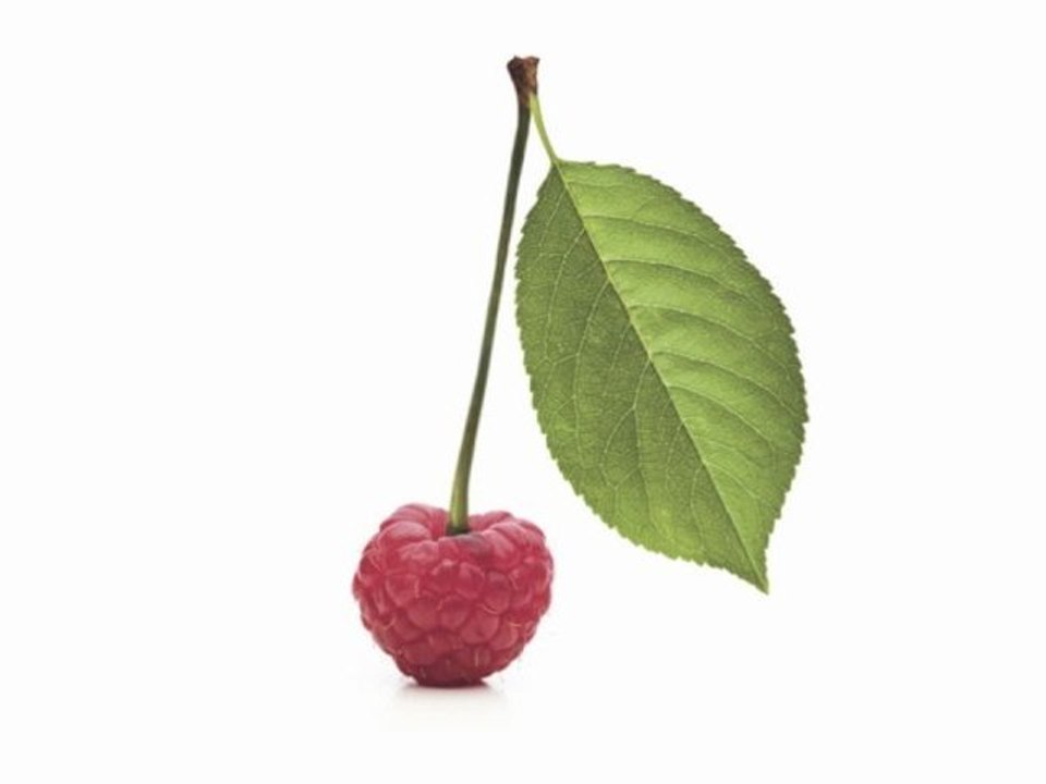 Comment éviter la page blanche en communication avec Naturine ?